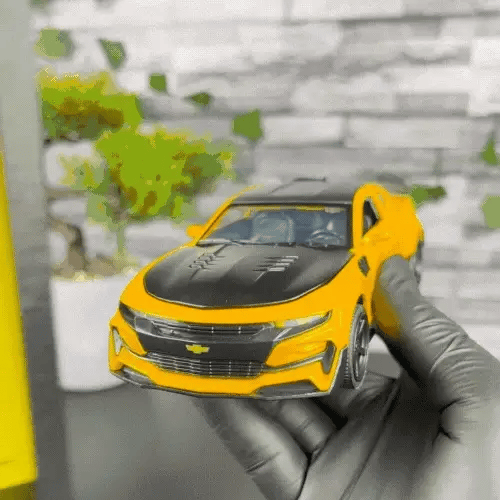 CARFIT™