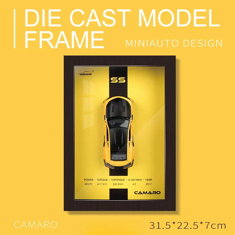 CARFIT™