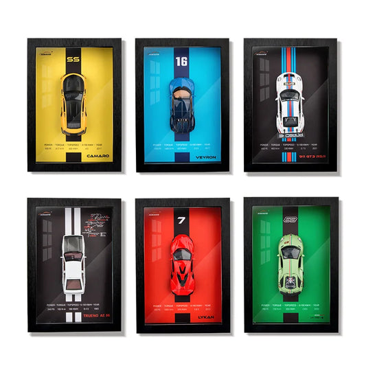 CARFIT™